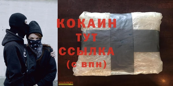 эйфоретик Дмитриев
