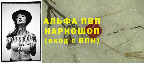 эйфоретик Дмитриев