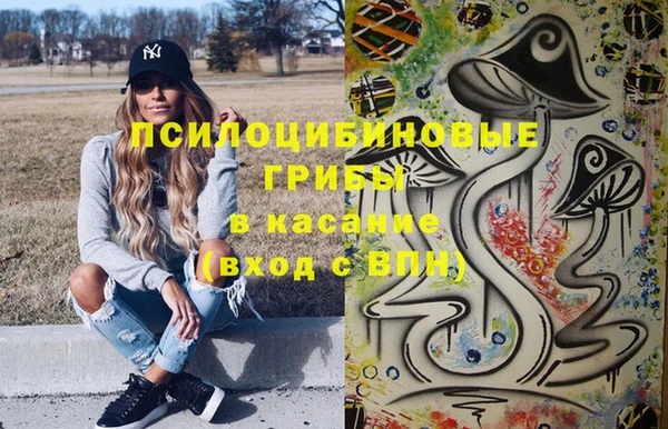 соль курить ск Дмитровск