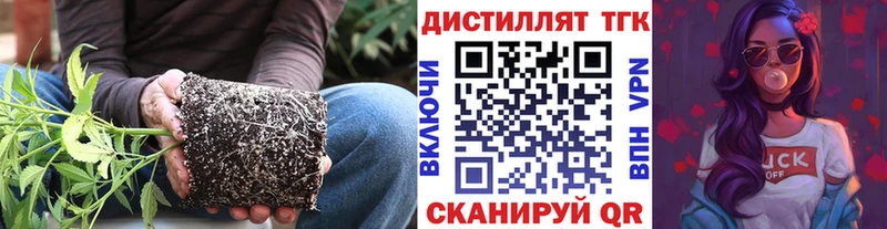 ТГК THC oil  Купить закладки  Инта 