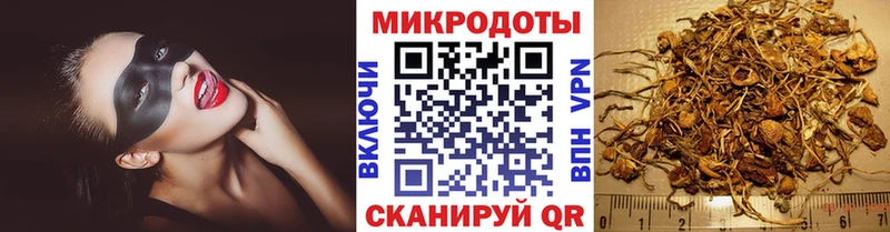 Галлюциногенные грибы MAGIC MUSHROOMS  Купить закладки  Инта 